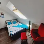 Háziállatbarát Bichon Medencehasználattal *