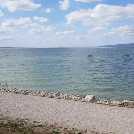 Haziallatbarat Bichon Nyaralo Medencehasznalattal *