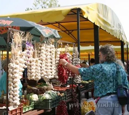 בית נופש Haziallatbarat Bichon Nyaralo Medencehasznalattal Fonyód