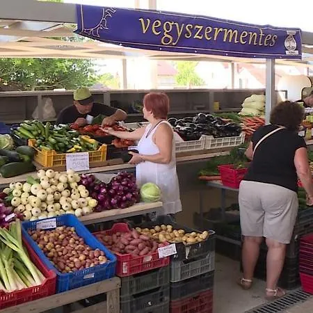 Haziallatbarat Bichon Nyaralo Medencehasznalattal בית נופש