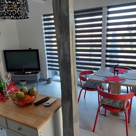 Haziallatbarat Bichon Nyaralo Medencehasznalattal Ferienhaus Fonyód