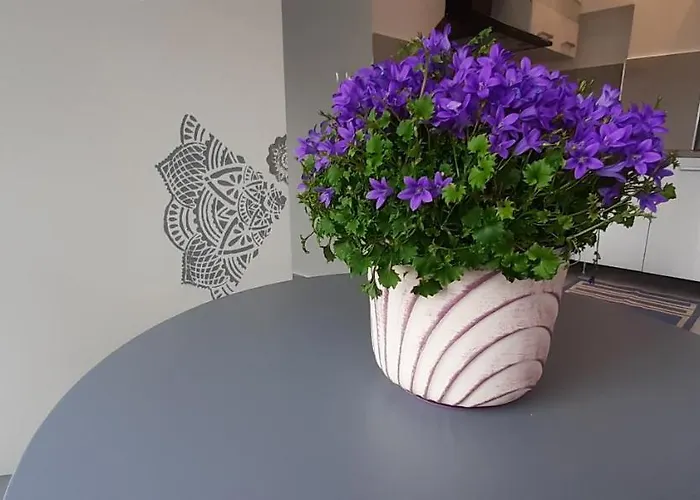 Haziallatbarat Bichon Nyaralo Medencehasznalattal * Fonyód