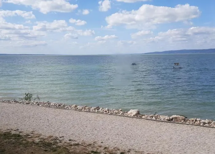 Haziallatbarat Bichon Nyaralo Medencehasznalattal *