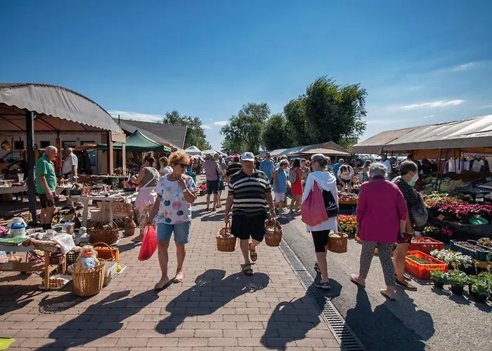 Haziallatbarat Bichon Nyaralo Medencehasznalattal Fonyód