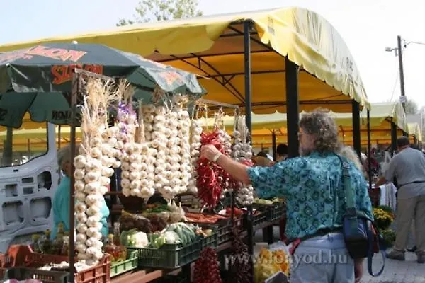 Ferienhaus Haziallatbarat Bichon Nyaralo Medencehasznalattal Fonyód