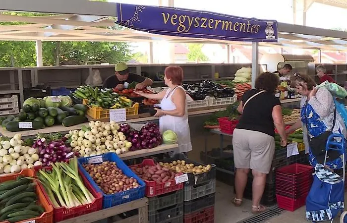 Haziallatbarat Bichon Nyaralo Medencehasznalattal Ferienhaus
