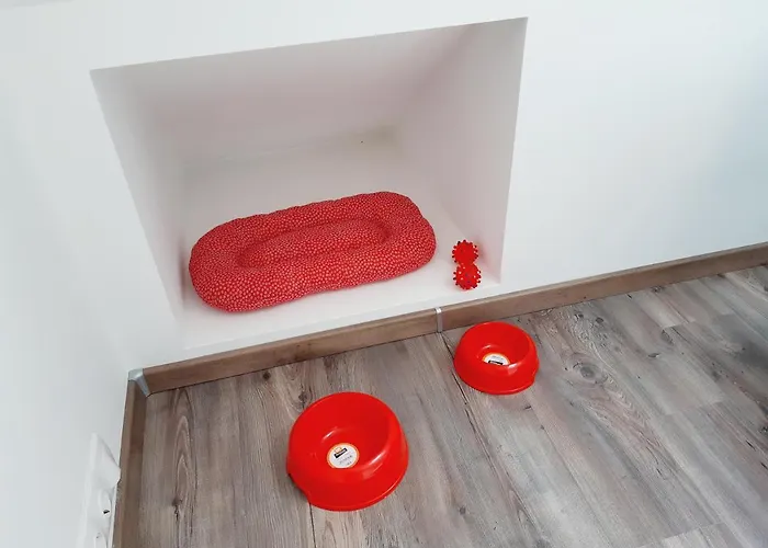 Ferienhaus Haziallatbarat Bichon Nyaralo Medencehasznalattal