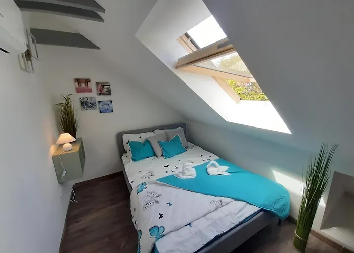 Ferienhaus Haziallatbarat Bichon Nyaralo Medencehasznalattal