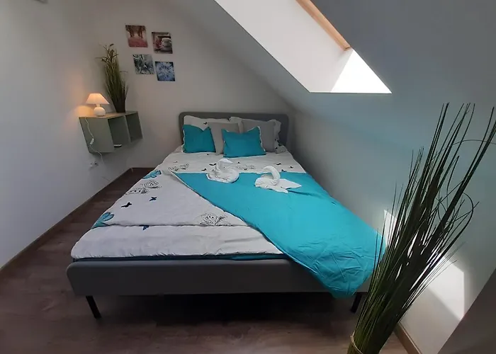 Haziallatbarat Bichon Nyaralo Medencehasznalattal Ferienhaus