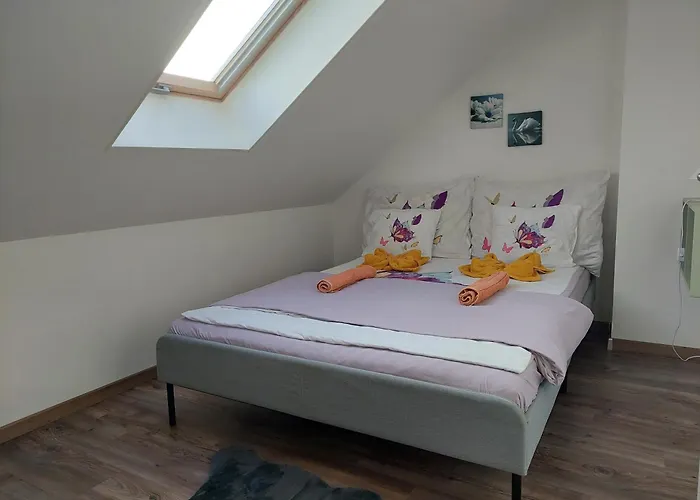 Ferienhaus Haziallatbarat Bichon Nyaralo Medencehasznalattal Fonyód